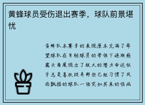 黄蜂球员受伤退出赛季,球队前景堪忧